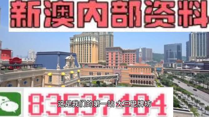 2024澳门免费精准资料｜精选解释解析落实